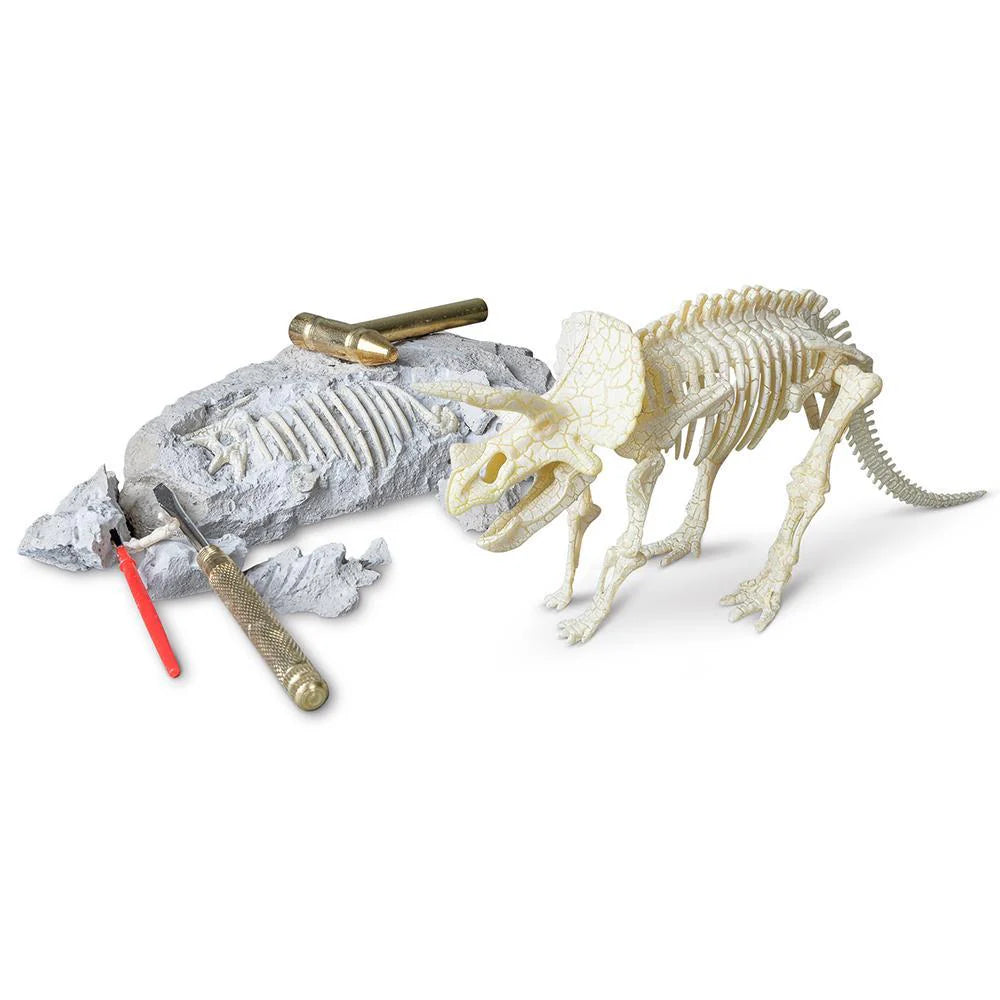 Heebie Jeebie Triceratops Paleontology Kit